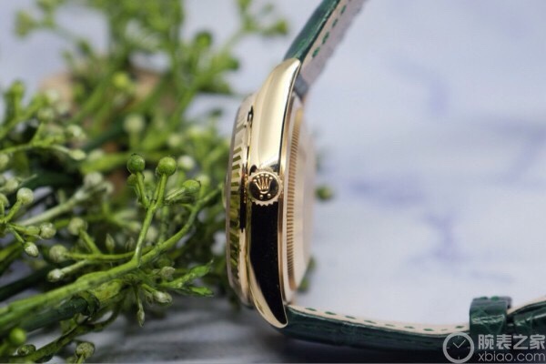 202457162439669 1300